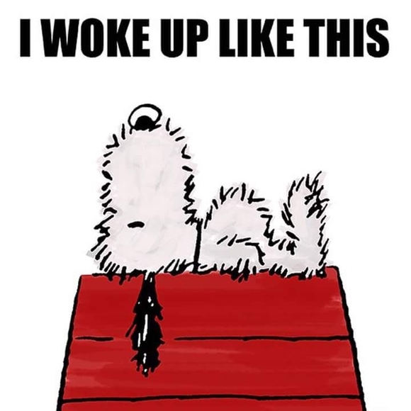 Meet your Posher, Daena - Picture 1 of 1